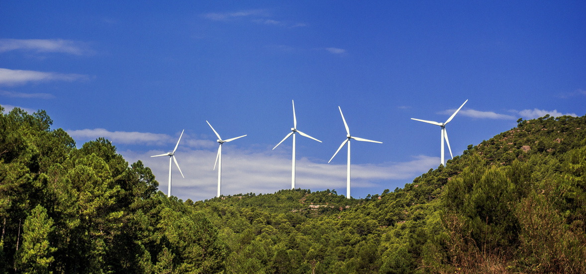 a group of wind turbines in the middle of a forest